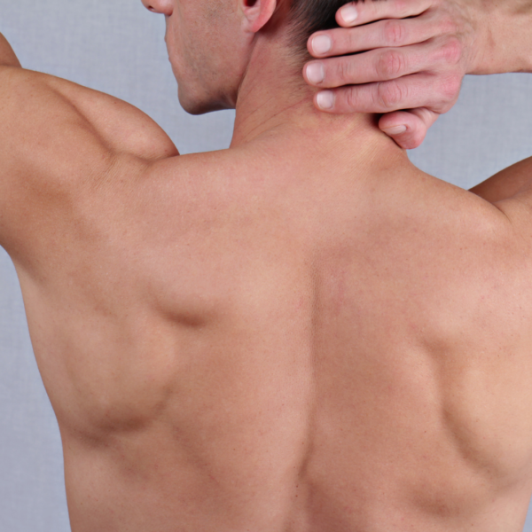 Meestele – XL tsoon (Aleksandriit)